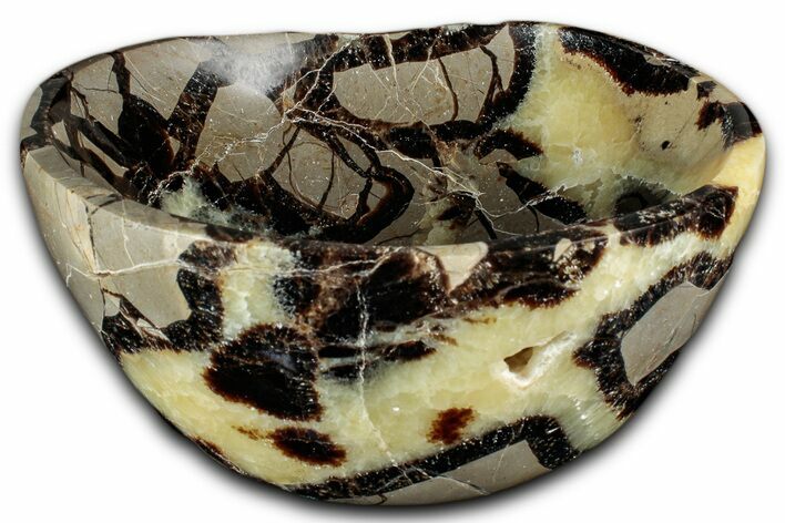 Eye-Eatching, Polished Septarian Bowl - Madagascar #350238